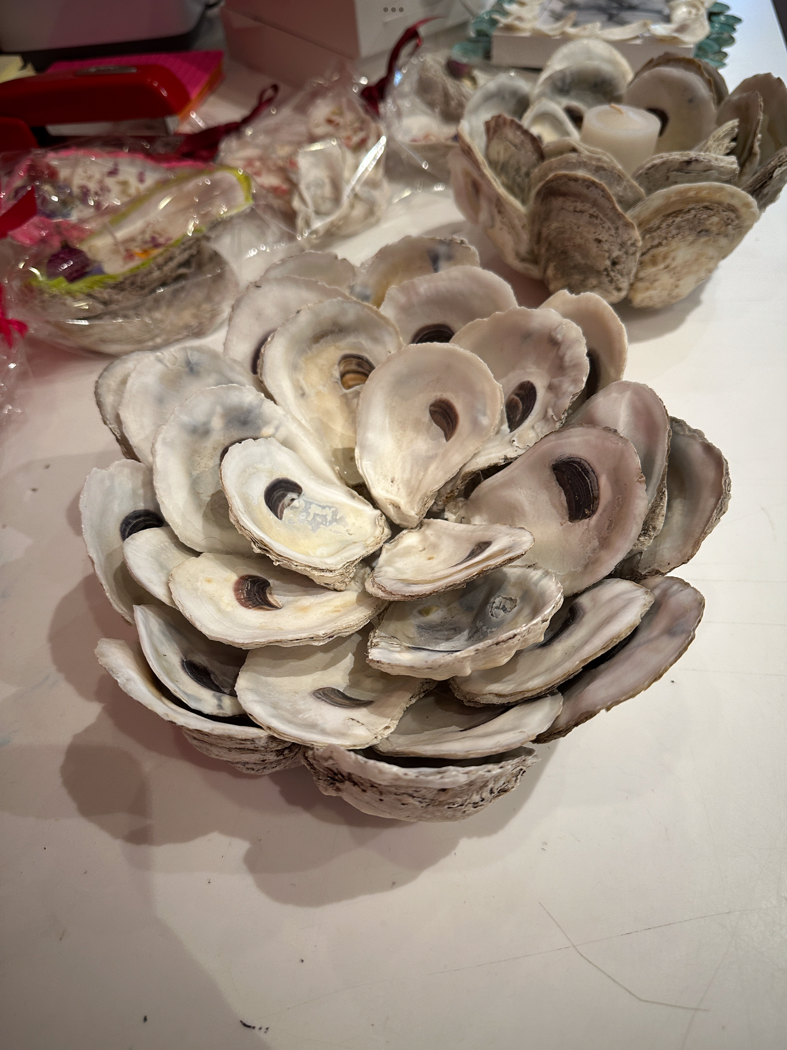 Oyster Art & Decor