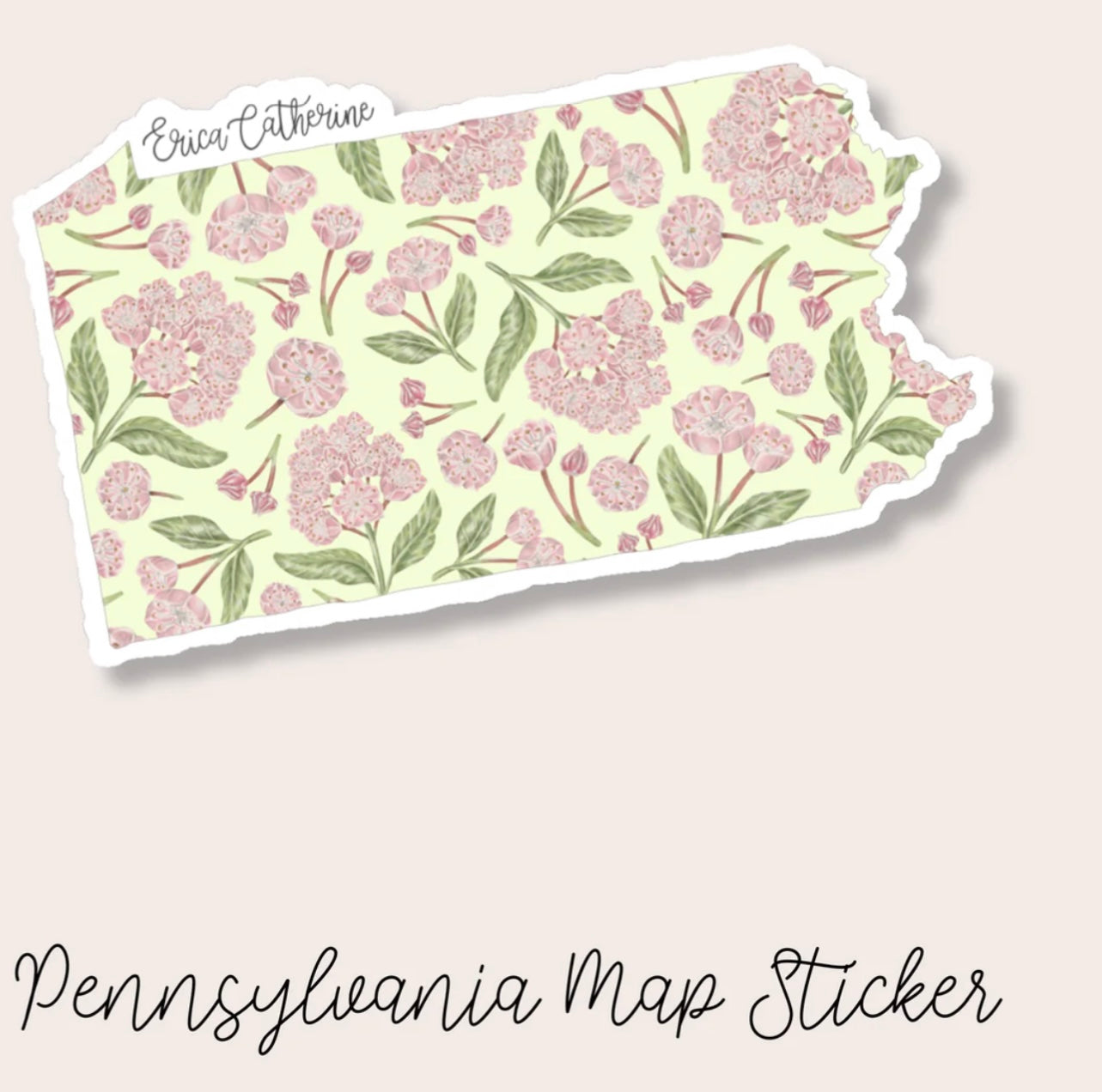 Erica Catherine Stickers - States