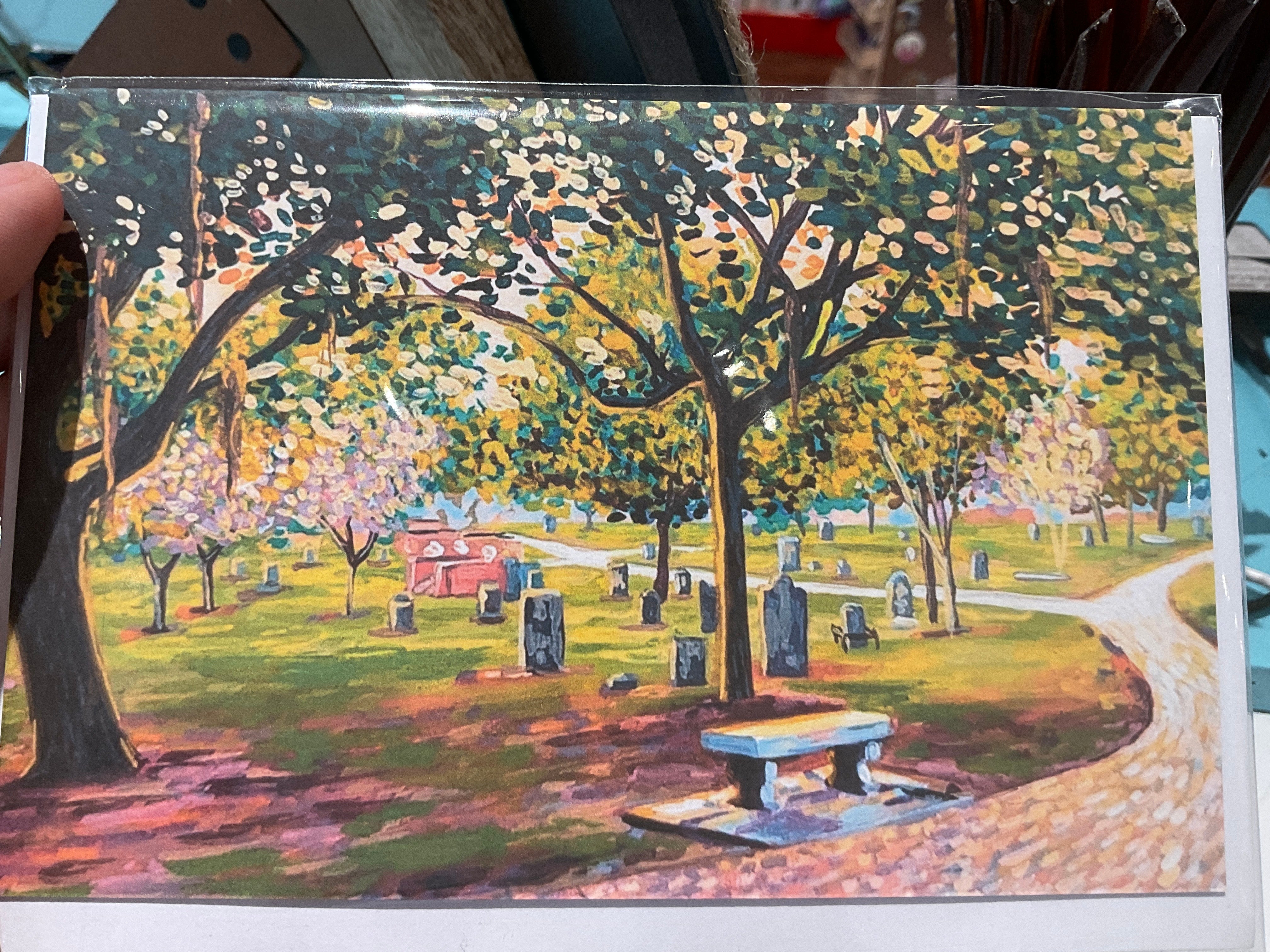 Michelle Perez: Savannah Notecards