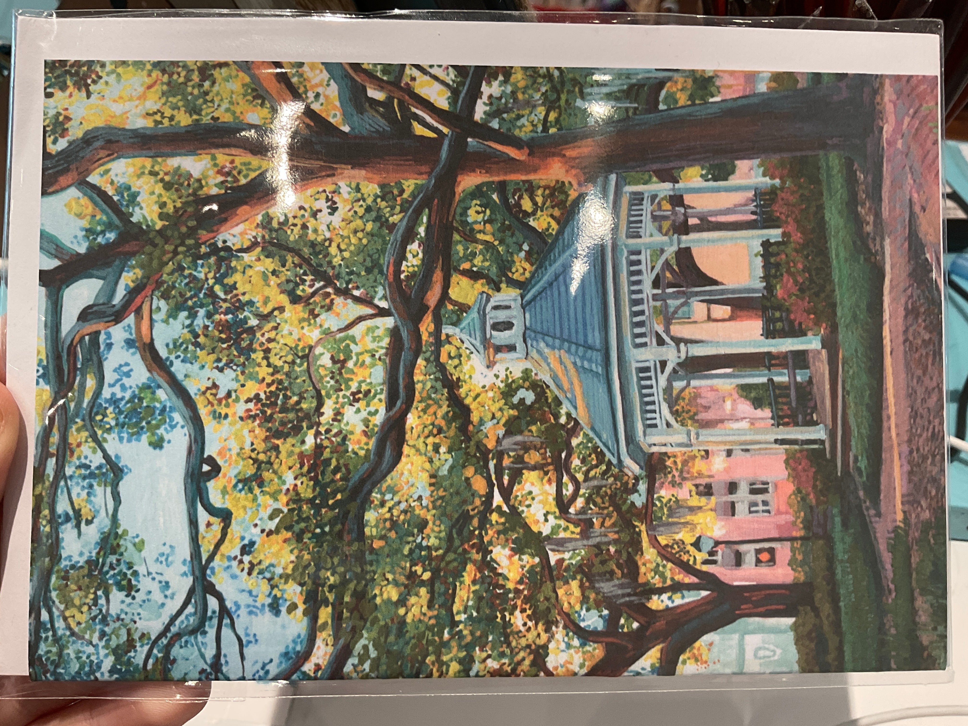 Michelle Perez: Savannah Notecards