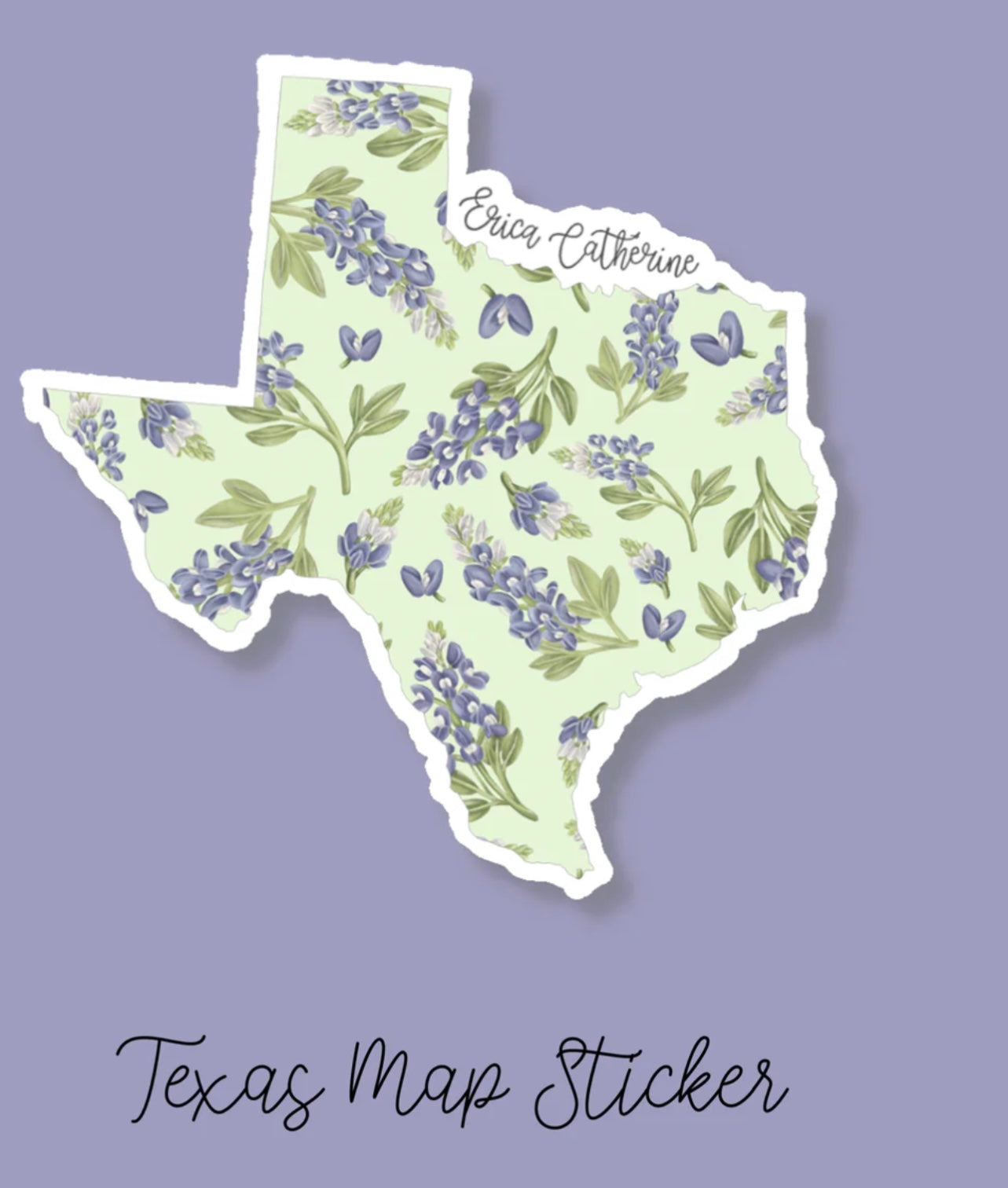 Erica Catherine Stickers - States