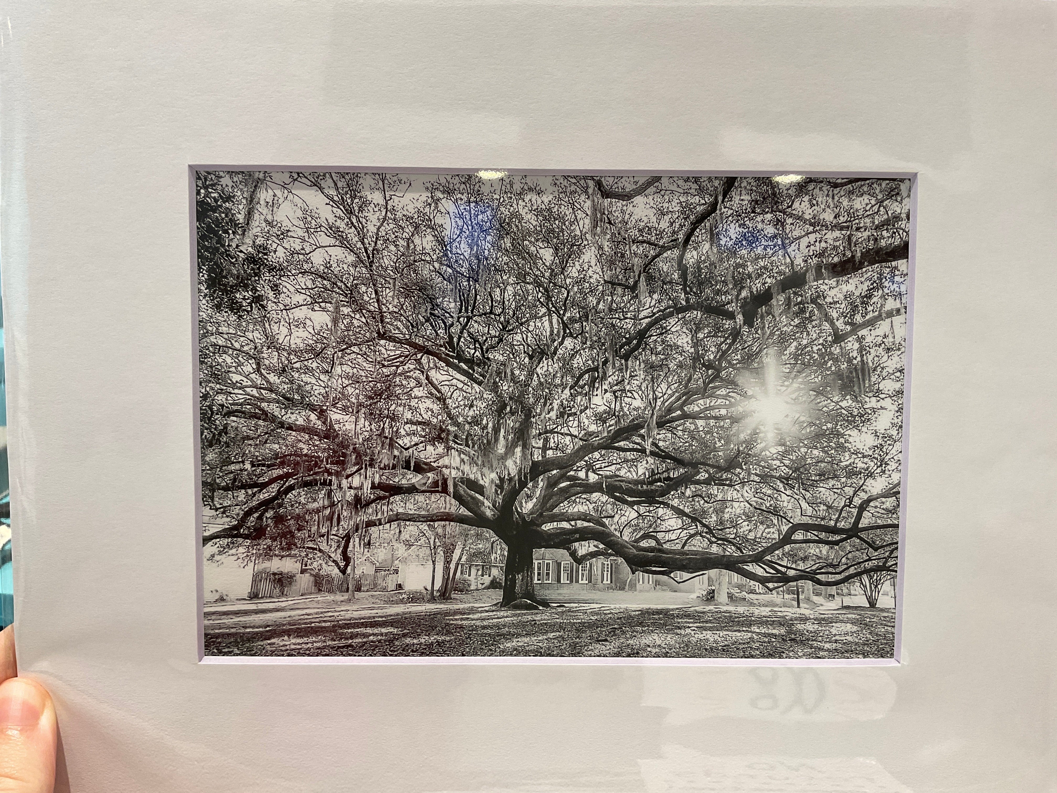 Casey Jones Photography