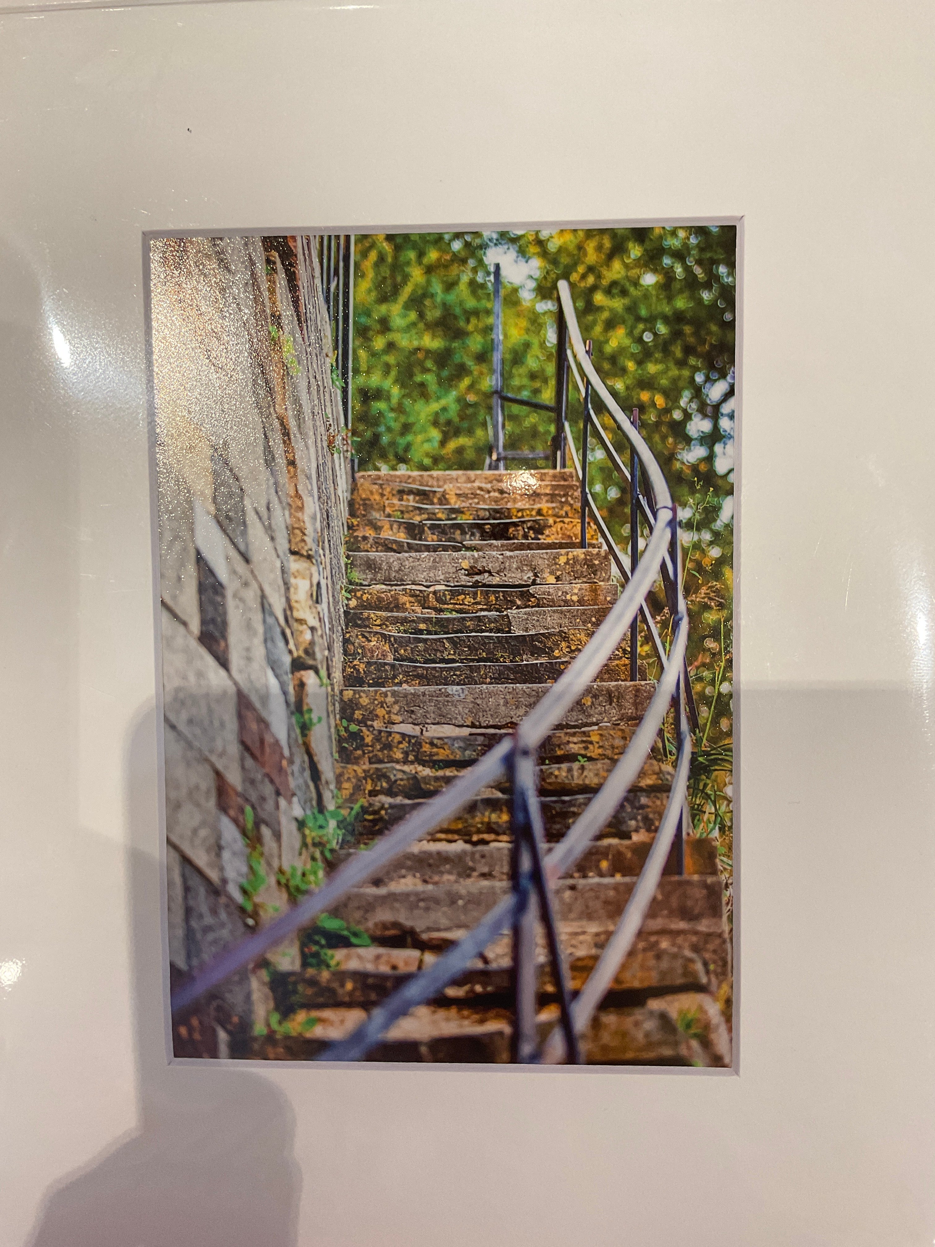 Casey Jones Photography