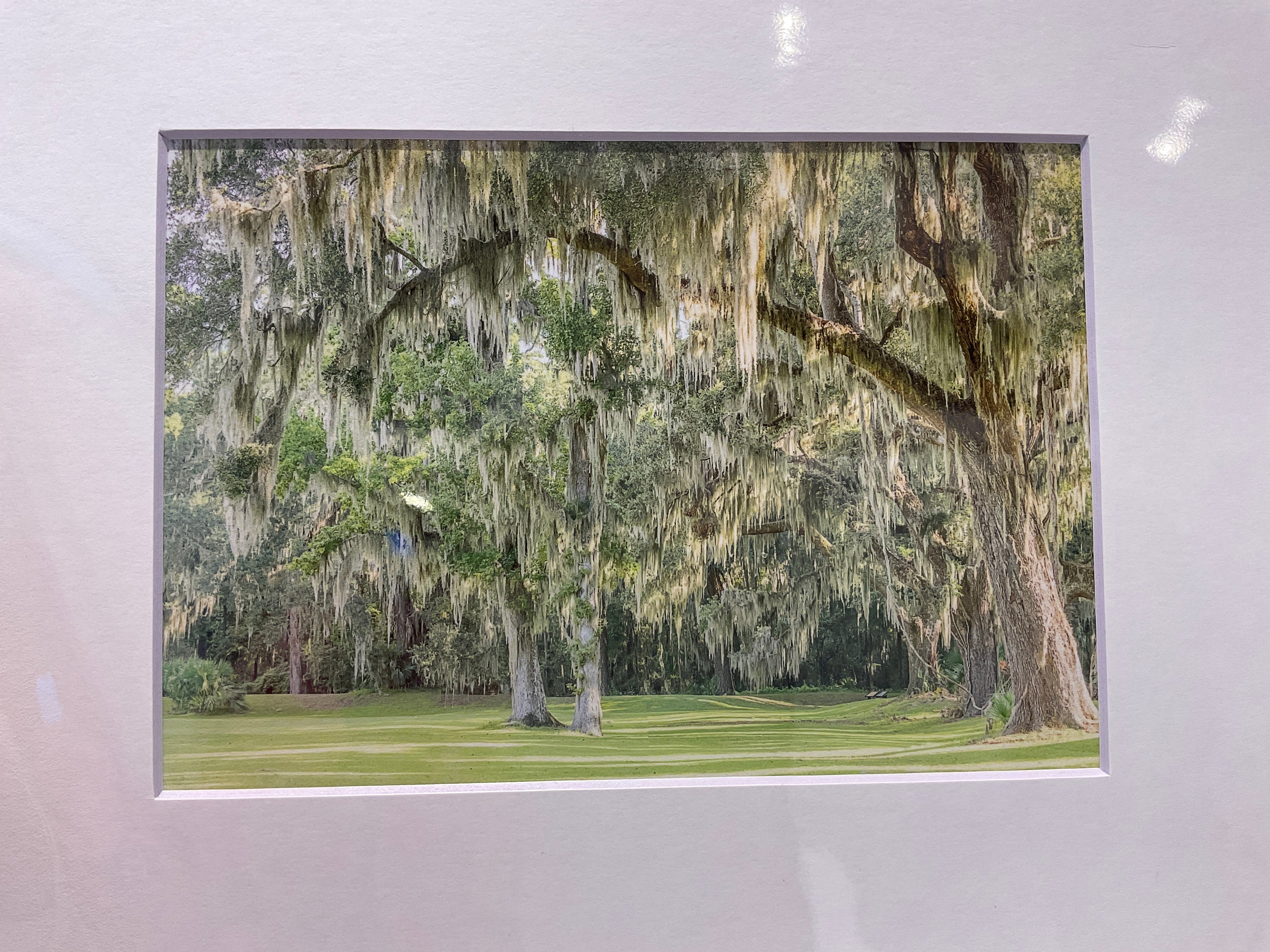 Casey Jones Photography