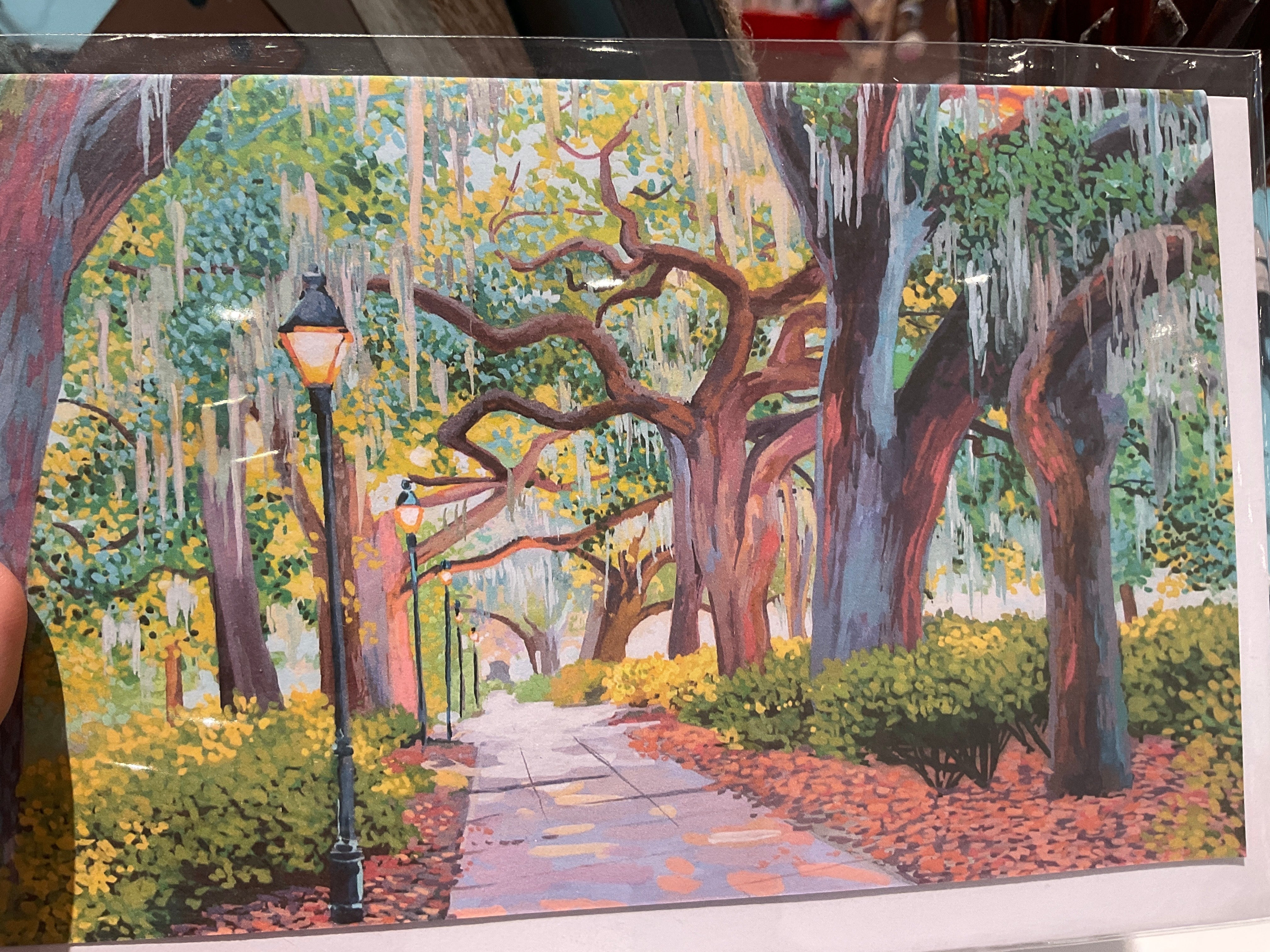 Michelle Perez: Savannah Notecards