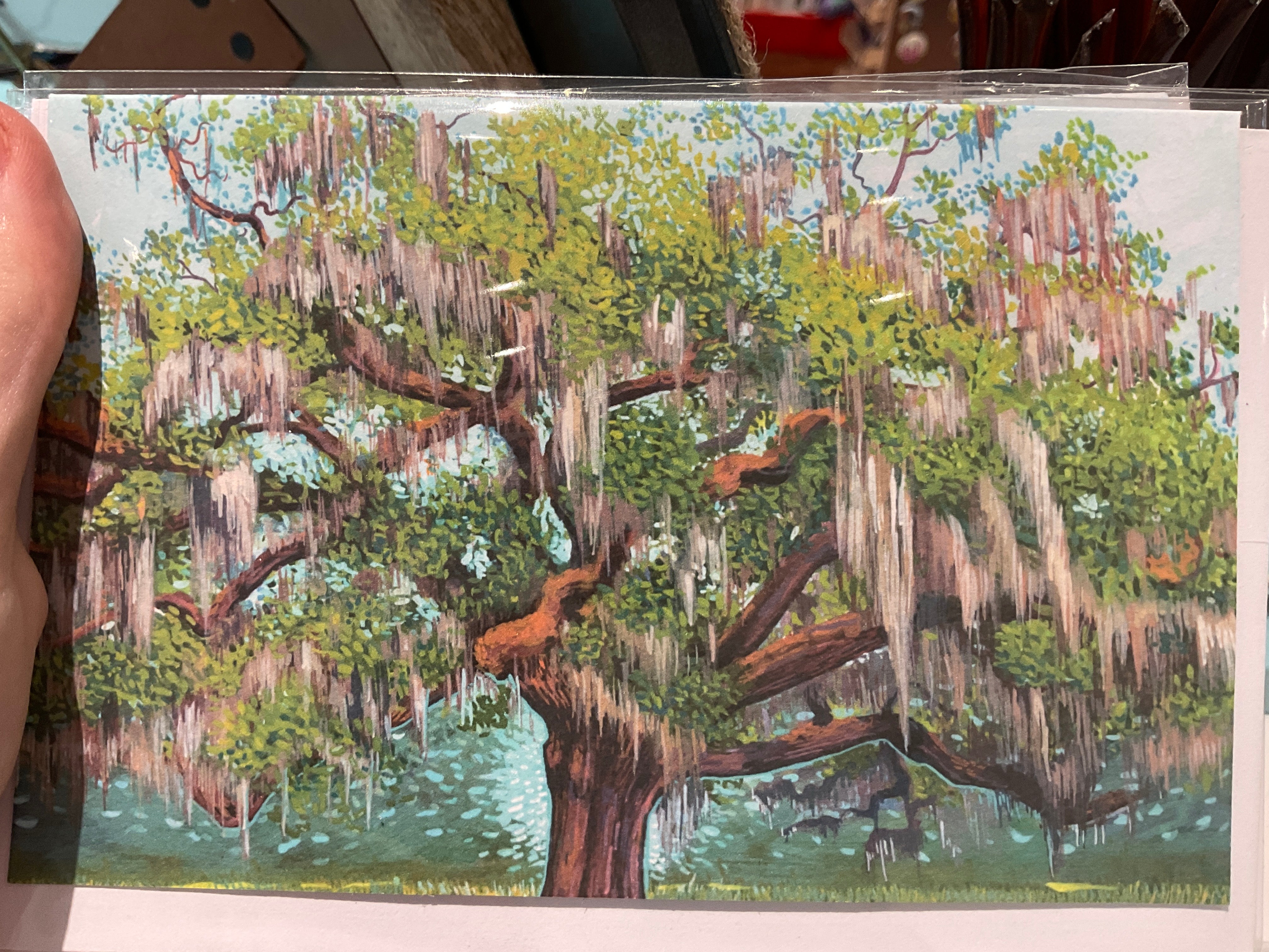 Michelle Perez: Savannah Notecards