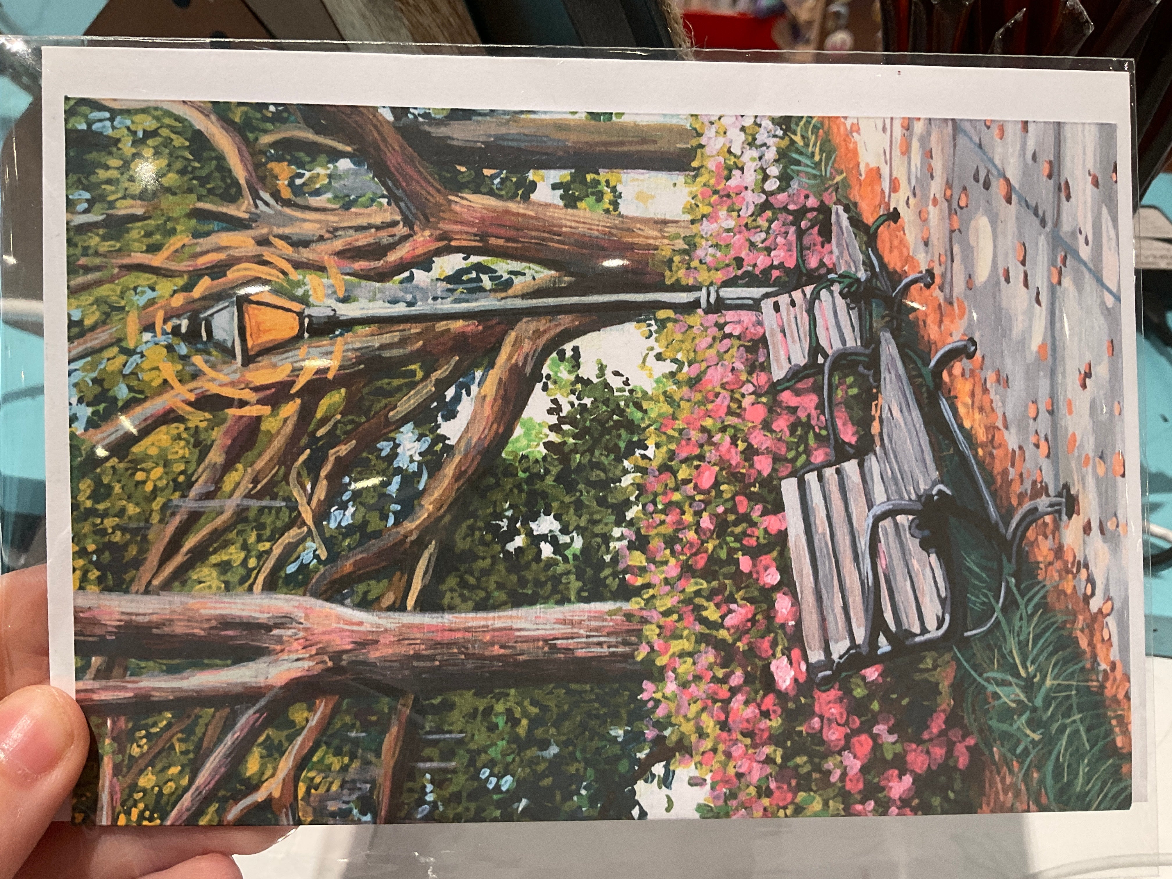 Michelle Perez: Savannah Notecards