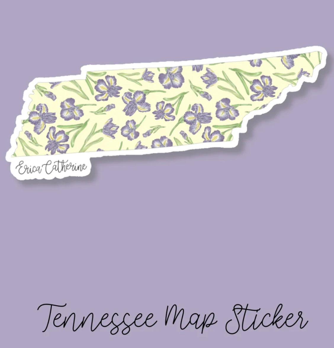 Erica Catherine Stickers - States