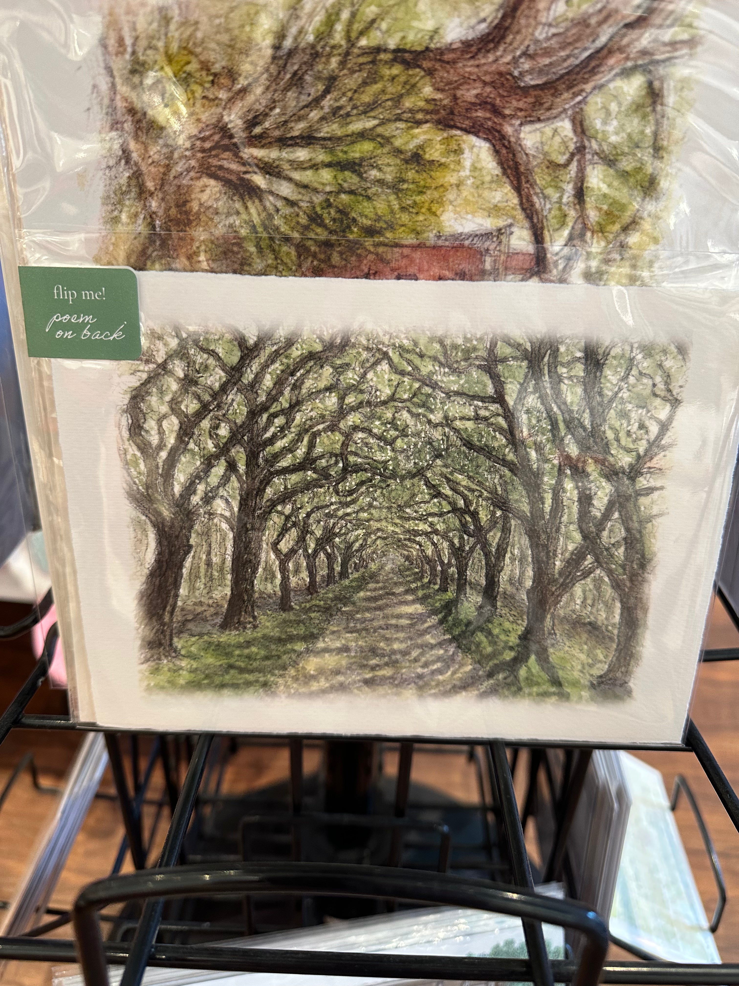 Gay Poet Beau - Savannah Prints and Cards